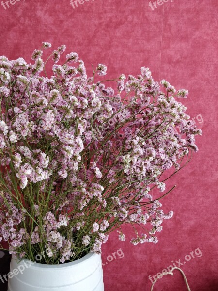 Dried Flowers Bouquet Pink Free Photos