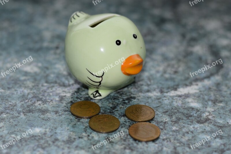 Piggy Bank Money Save Finance Bird