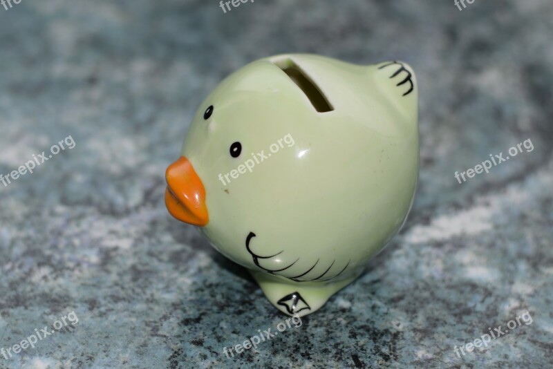 Piggy Bank Money Save Finance Bird