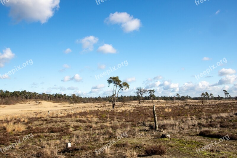 Heide Clouds Landscape Nature Drunense Duinen