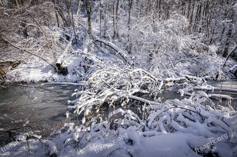 Winter Snow Nature Landscape Wintry