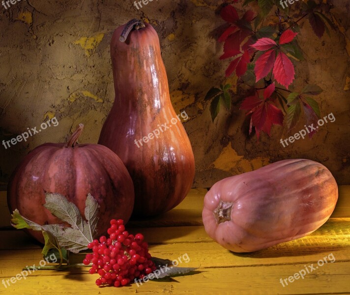 Pumpkin Still Life Orange Rowan Leaves