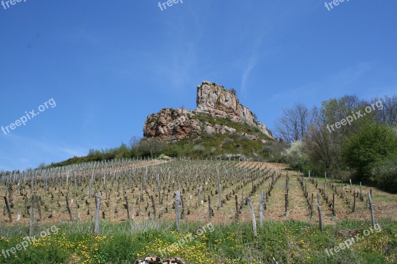 Solutré Burgundy Vine Vineyard Landscape