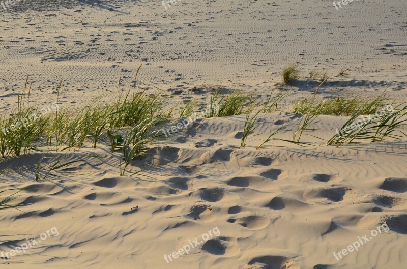 Holidays The Baltic Sea Sea Beach The Coast