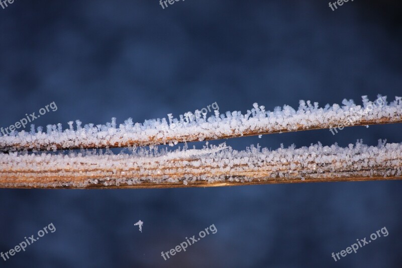 Ice Crystals Winter Frost Cold