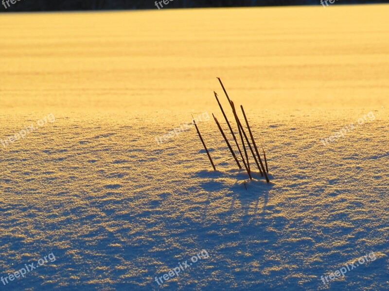 Schnee Winter Kälte Abend Dämmerung