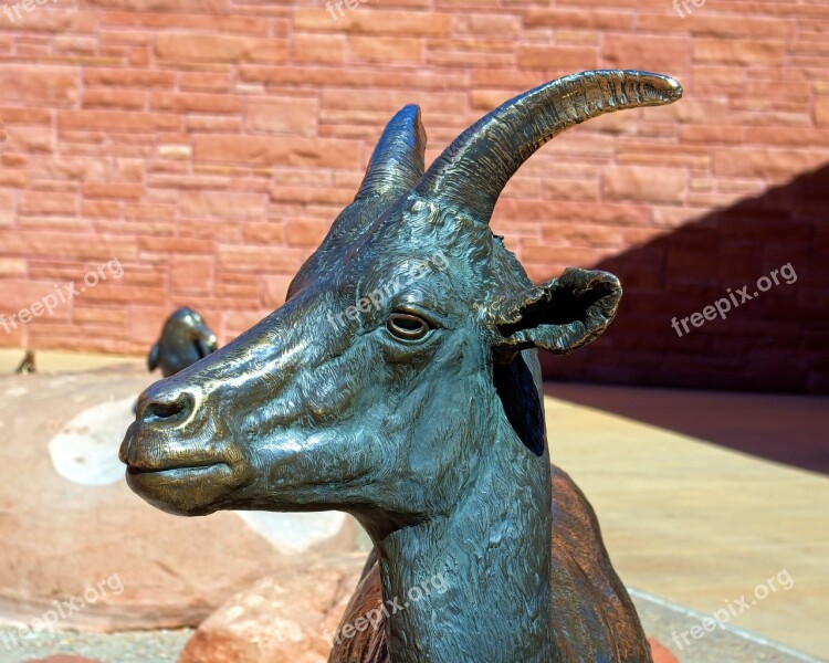 Bronze Desert Bighorn Ewe Bronze Statue Desert Bighorn