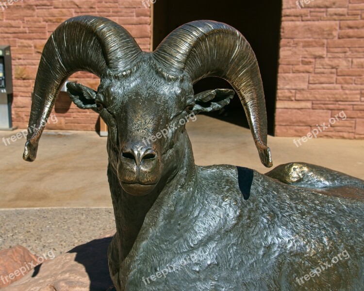 Sculpture Of Desert Bighorn Ram Bronze Statue Desert Bighorn