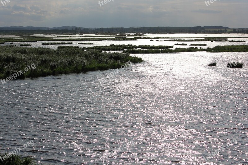 Backlighting Flooding The Breeding Area Water Water Landscape