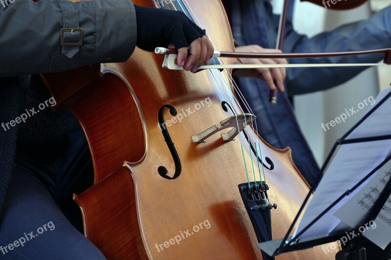 Violinist Cellist Artist Street Musician Violin