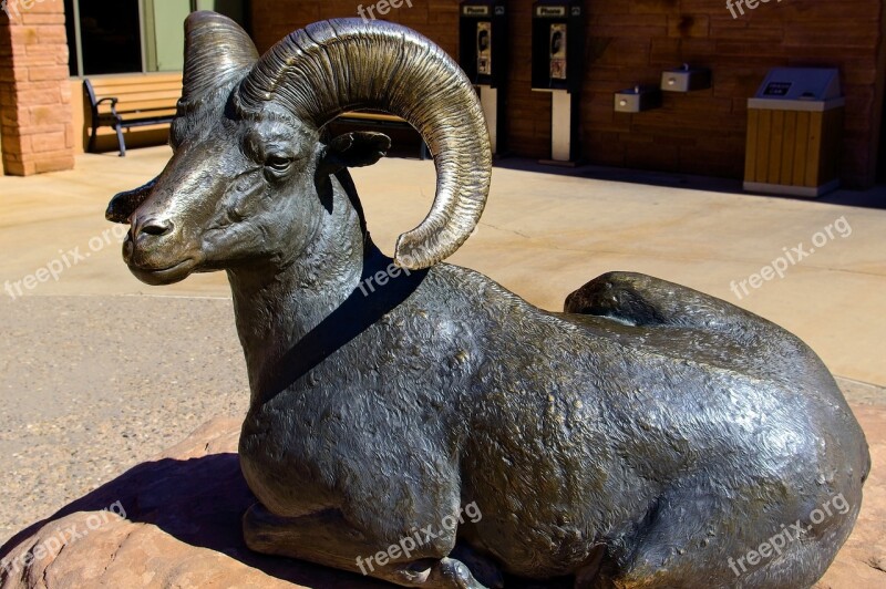 Reclining Bighorn Ram Sculpture Bronze Statue Desert Bighorn