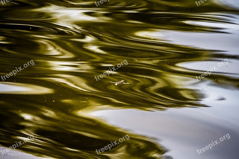 Water Abstract Ocean Sea Bokeh