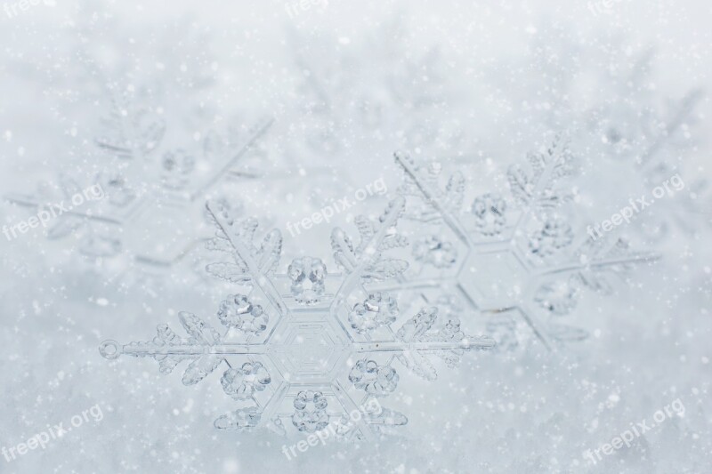 Snowflakes Border White Space Text Space Winter