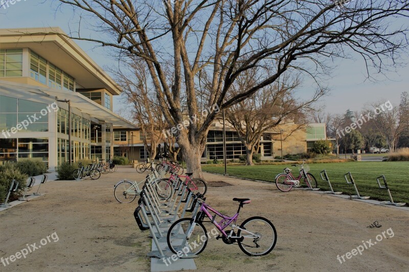 Uc Davis Bikes Campus Building College