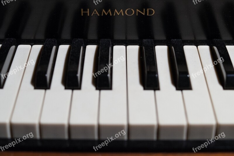 Keys Piano Organ Black White