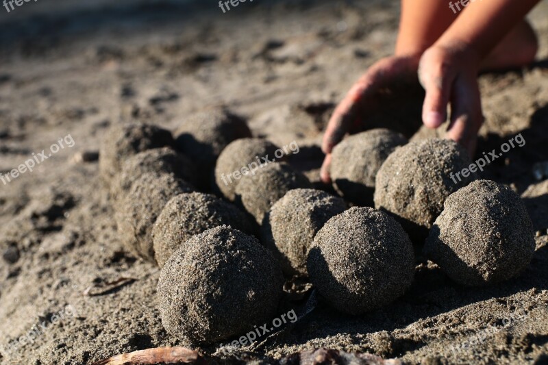 Sea Sandy Beach Holiday Sand