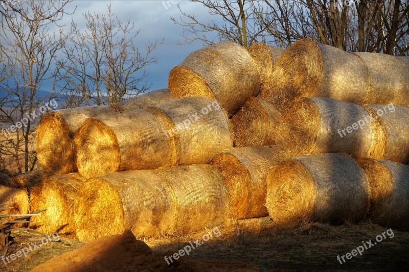 Packages Hay Straw Agriculture Stacked