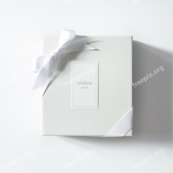 Gift Gift Box Packing Ribbon Ribbon Box