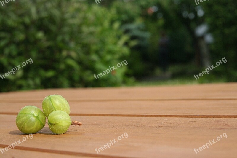 Gooseberry Garden The Background Dining Table Background