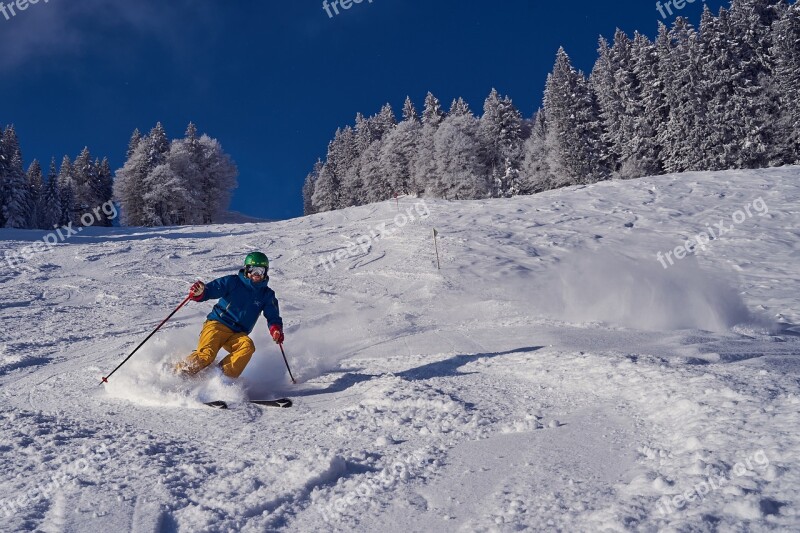 Skiing Winter Snow Ski Skiers