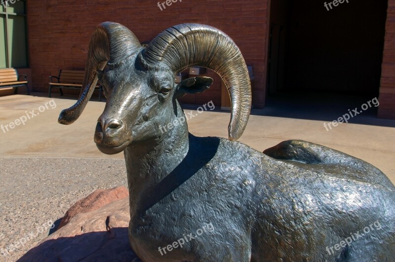 Bronze Desert Bighorn Ram Bronze Statue Desert Bighorn