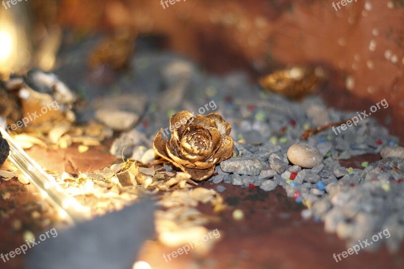 Pinecone Pebbles Lighting Nature Rocks