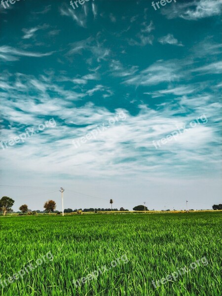 Scenic Clouds Blue Sky Hd Wallpaper Field