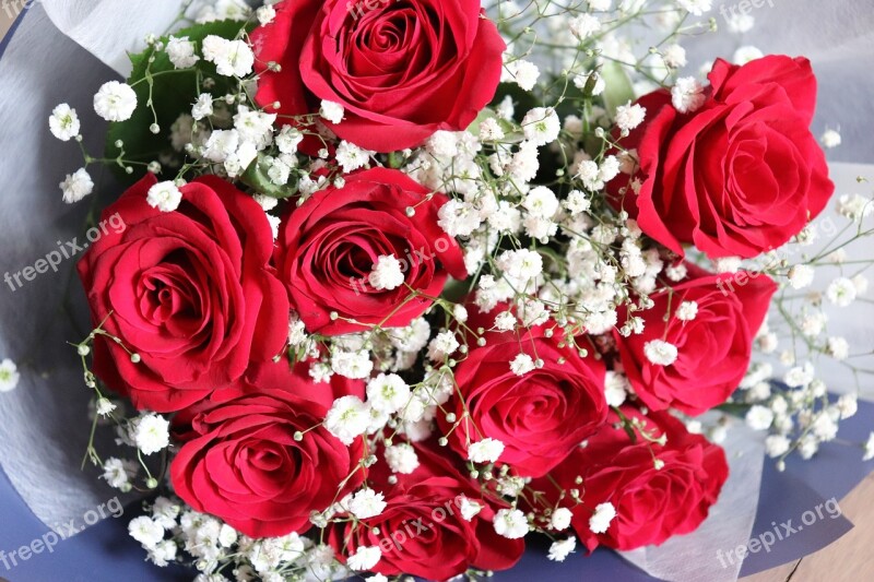 Flowers Flower Bouquet Rose Romantic