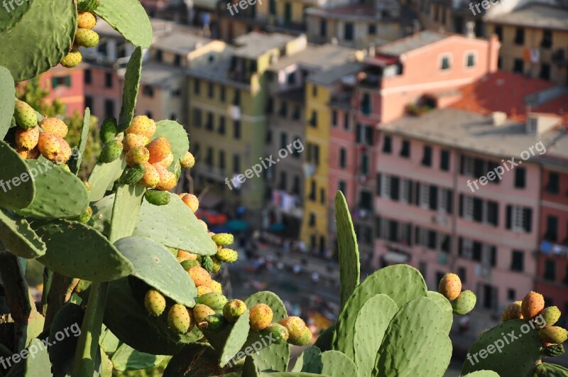 Liguria Vernazza Travel Landscape Village