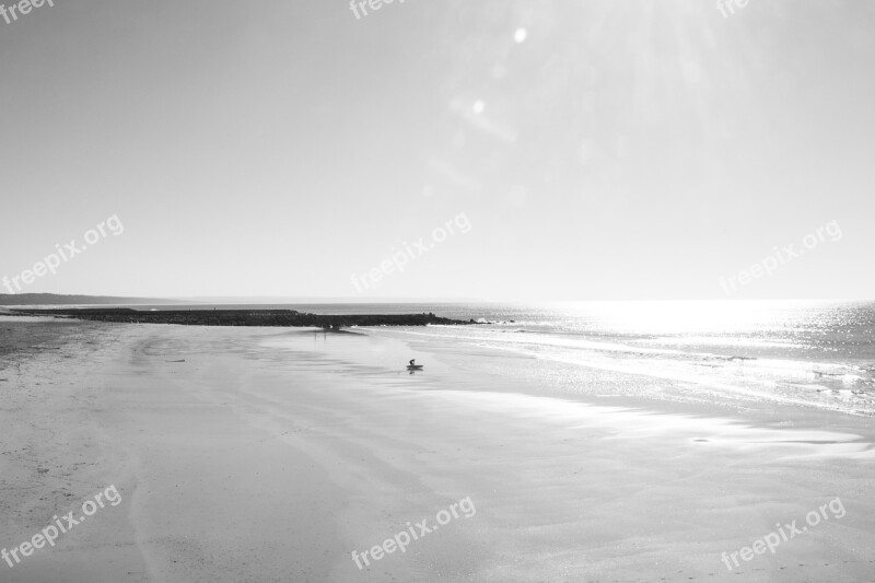 Surf Beach Surfer Sea Ocean