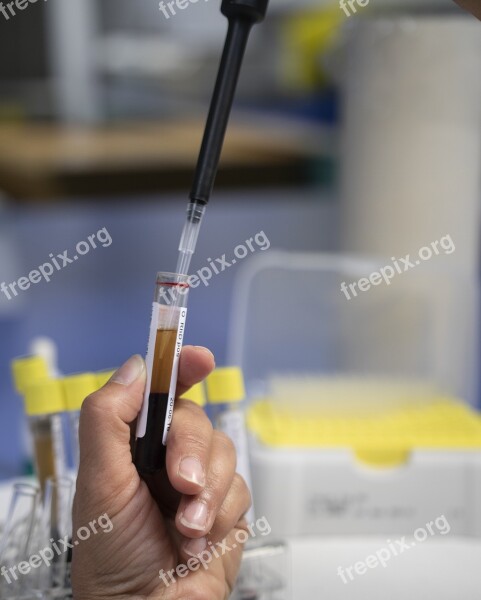 Blood Analysis Laboratory Test Medical