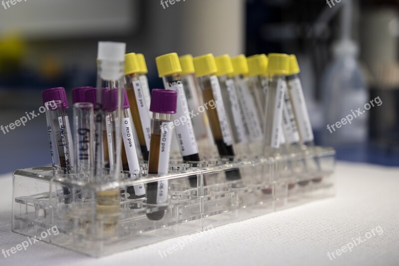 Blood Analysis Laboratory Test Medical