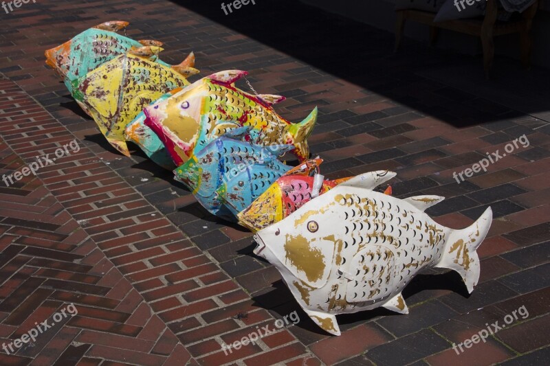 Sylt Westerland North Sea Vacations Fish