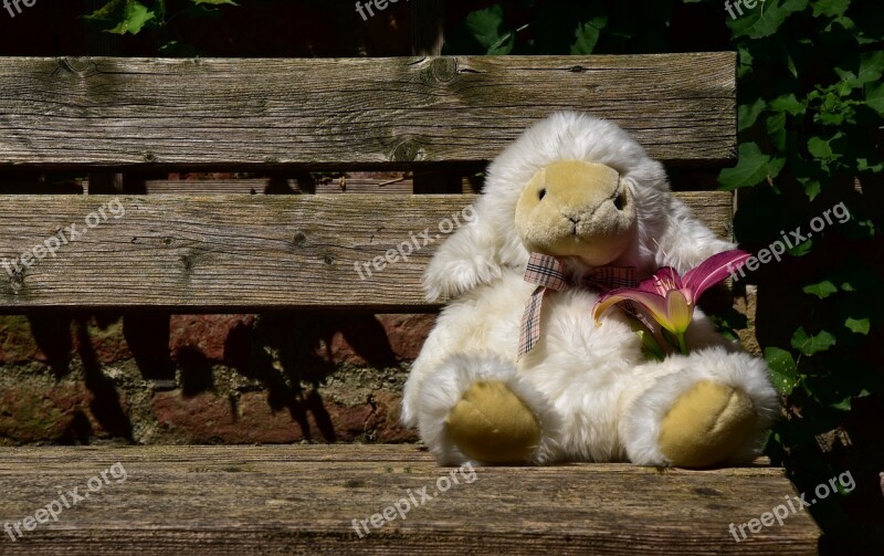 Sheep Wait Animal Teddy Bear Soft Toy