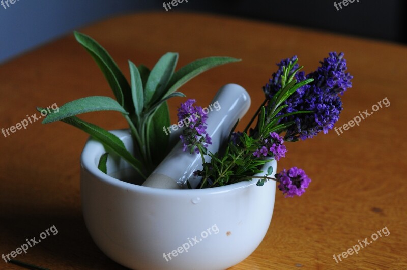 Mortar Flowers Pharmacy Lavender Health