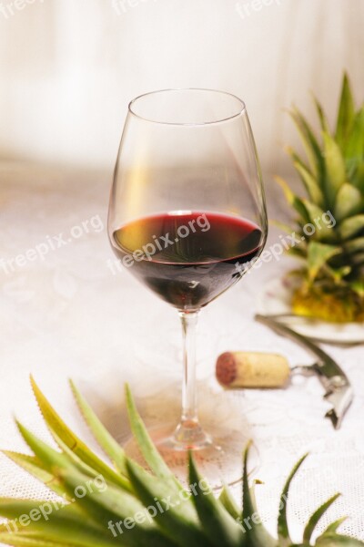 Wine Red Sharing Glass Free Photos