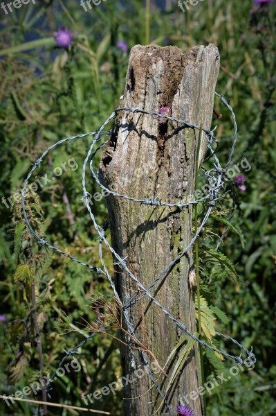 Log Barbed Wire Wiring Close Up Fixing