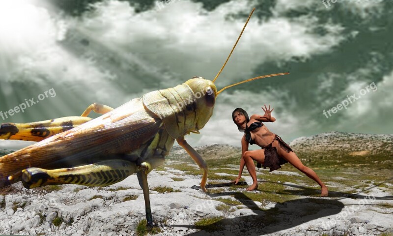 Phobia Grasshopper Combat Woman Warrior Plateau