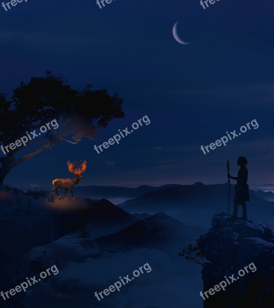 Surreal Manipulation Dream Fantasy Deer