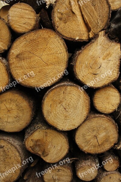 Wood Stump Nature Forest Log