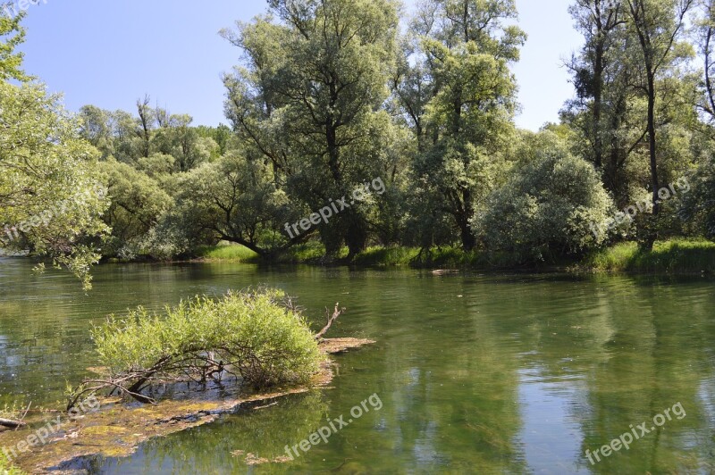 Riparian Zone River Landscape River Free Photos