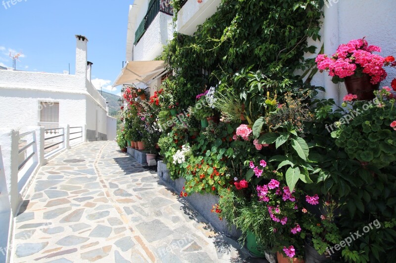 Andalusia Spain White Village Architecture Plant