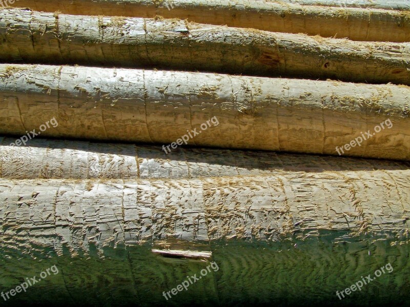 Logs Pine Wood Forest Management Free Photos