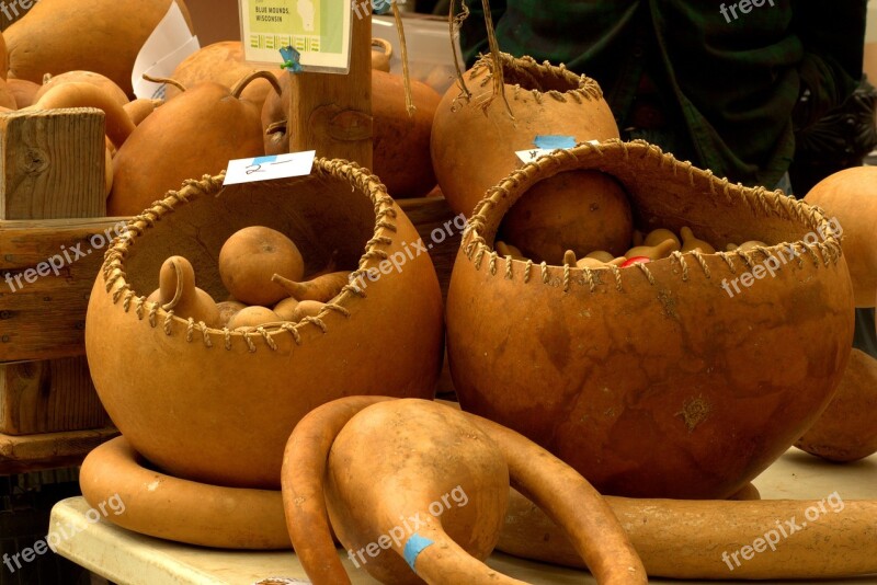 Gourd Baskets Harvest Gourds Vegetables Food