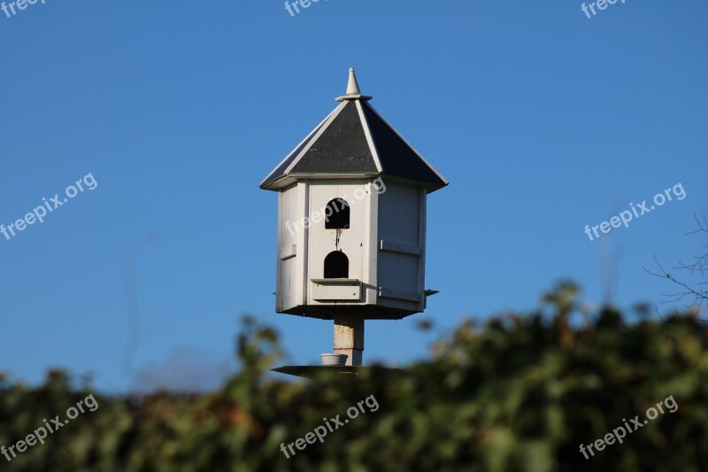 Dovecote Birdhouse Dove Free Photos