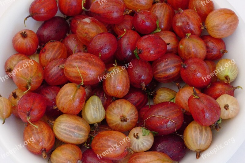 Gooseberries Fruit Vitamins Berries Soft Fruit