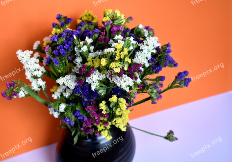 Still-life Still Life Limonium Flowers Bouquet