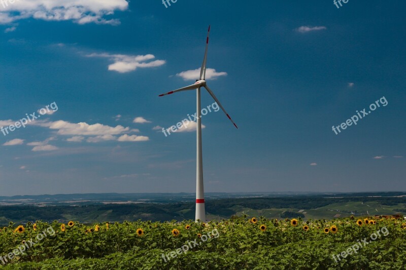 Pinwheel Sunflower Wind Energy Power Generation Power Supply