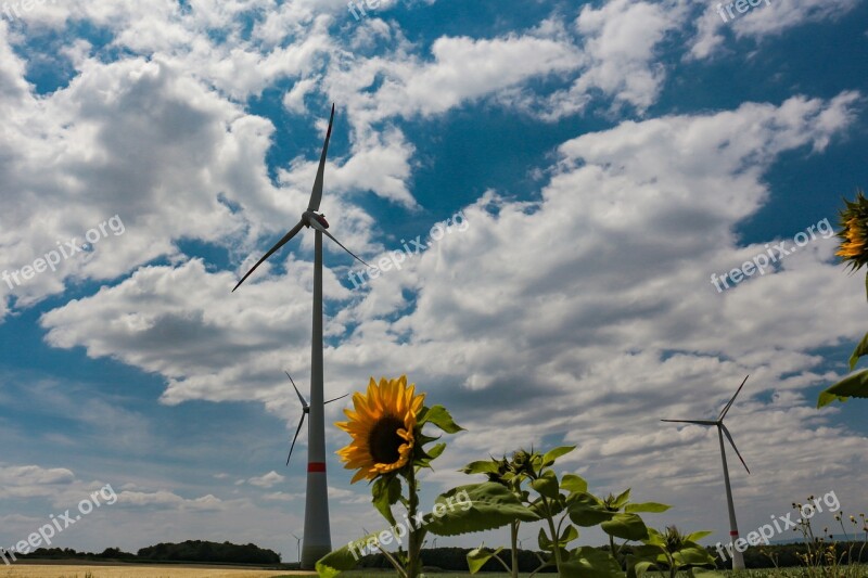 Windräder Sunflower Field Wind Energy Power Supply