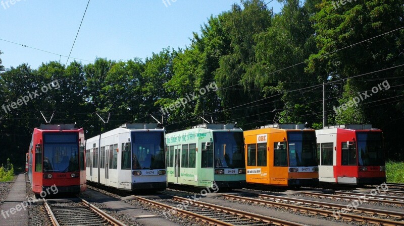 Tram Low-floor Cars öpnv Passenger Transport Rail Vehicle